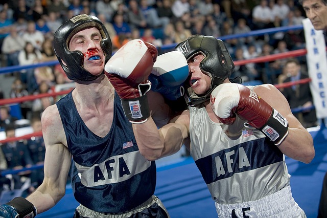 boxeři v ringu